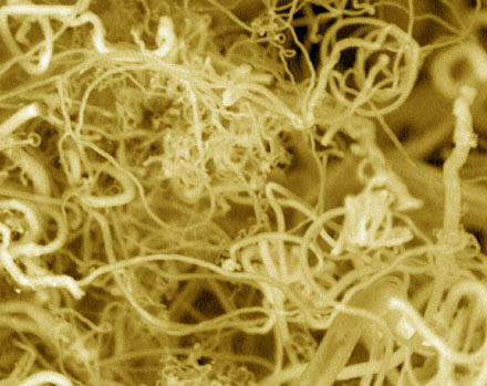 Nanofibres