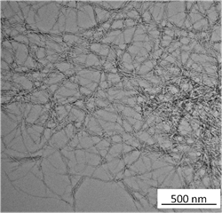 Nanocellulose