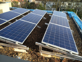 Green roofing