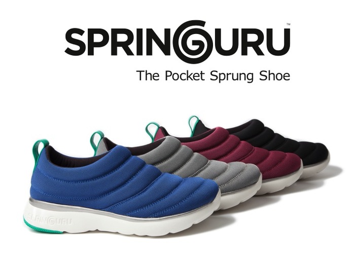 Springguru