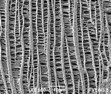 nanocellular structures