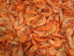 Shrimp