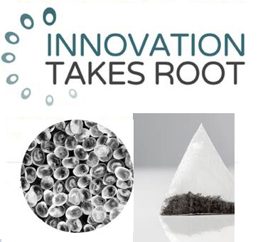 Innovation Takes Root