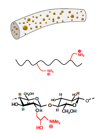 Ions